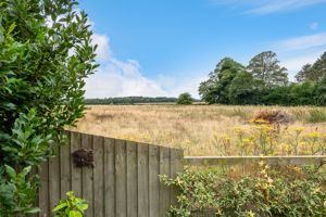 Open Field Views- click for photo gallery